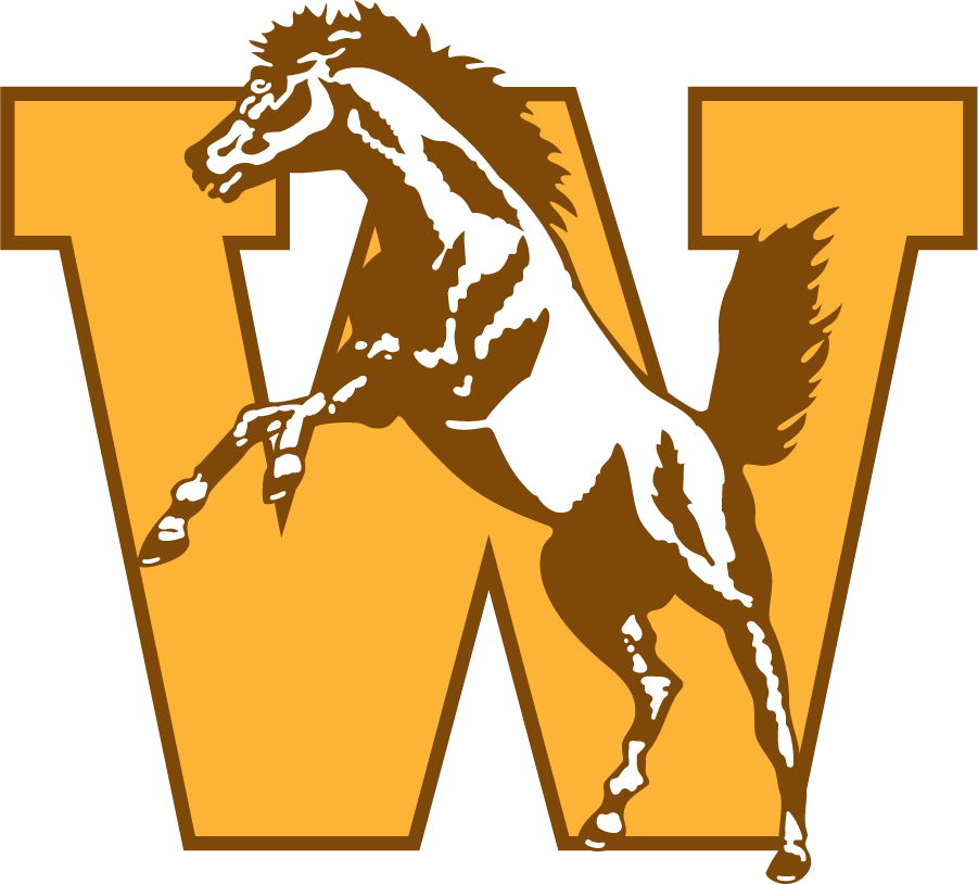 Western Michigan Broncos 1994-1998 Primary Logo iron on transfers for T-shirts